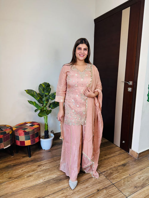 Anami- Silk Handwork Suit
