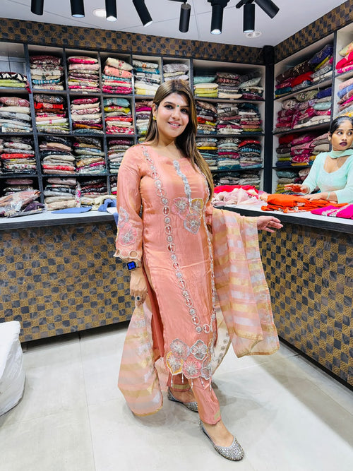 Diya- Organza Handwork Suit
