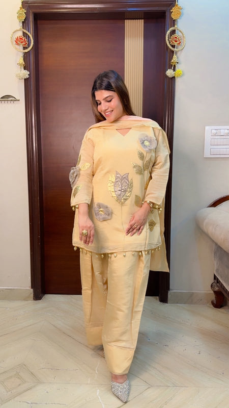 Organza Farshi Suit