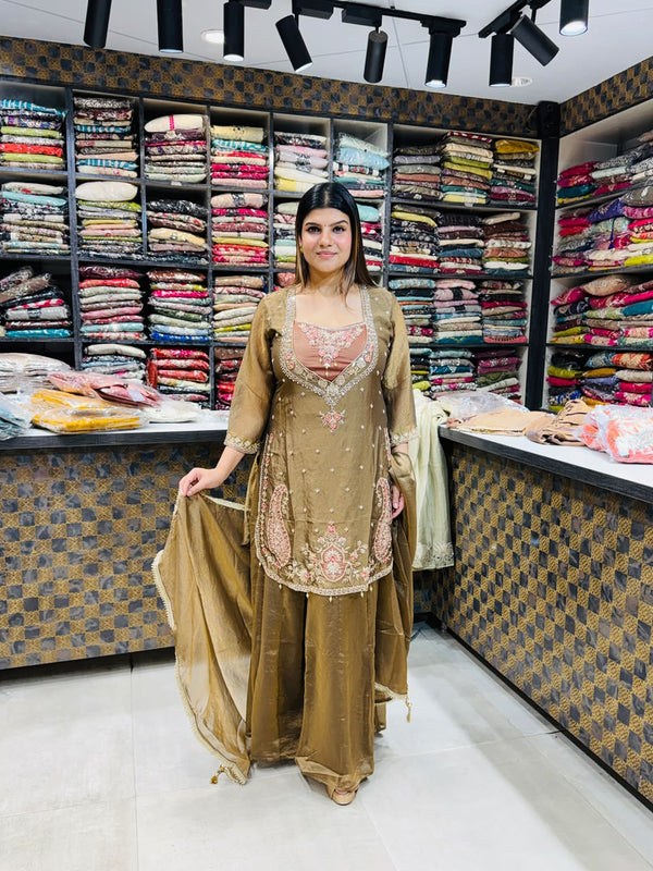 Riya- Salsa Handwork Sharara Suit