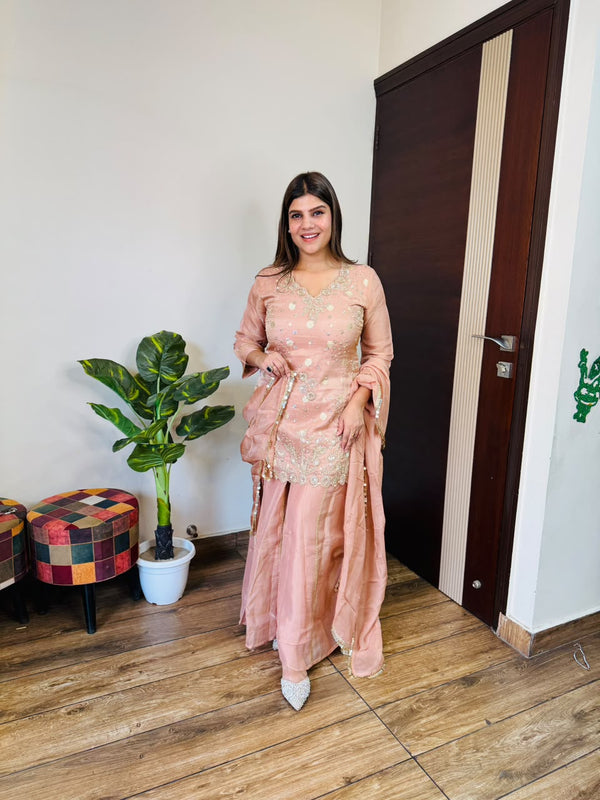 Anami- Silk Handwork Suit