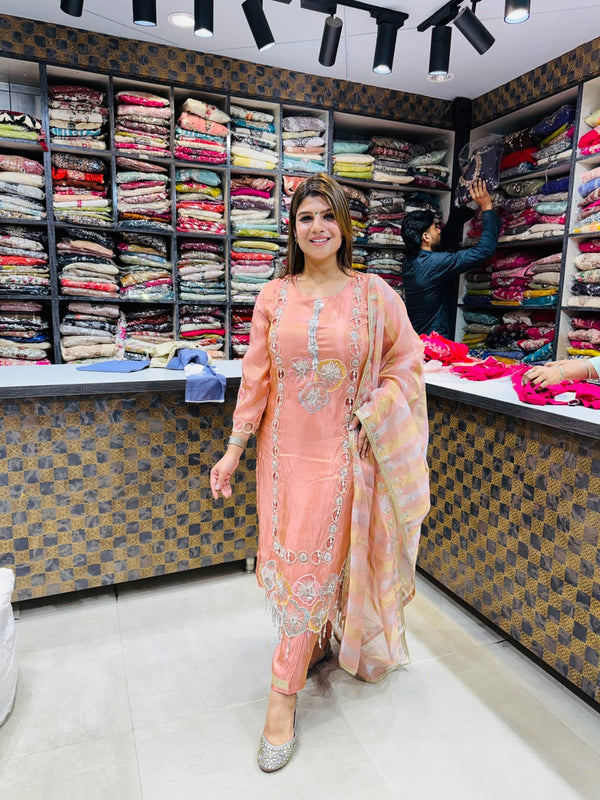 Diya- Organza Handwork Suit