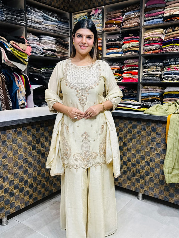 Veena- Salsa Handwork Suit